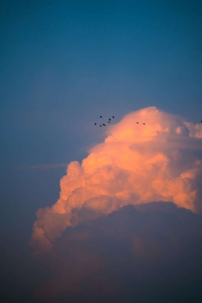 Des oiseaux volant au-dessus d'un nuage lumineux sous un ciel bleu.